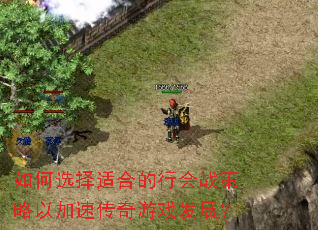 如何选择适合的行会战策略以加速传奇游戏发展? 如何选择适合的行会战策略以加速传奇游戏发展?