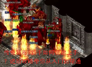 传奇私服3新手如何快速上手?进阶攻略带你从入门到精通 传奇私服3新手如何快速上手?进阶攻略带你从入门到精通