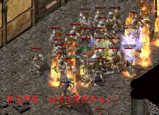 ������������ο�������ս����