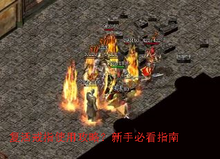 �����ָʹ�ù��ԣ����ֱؿ�ָ��