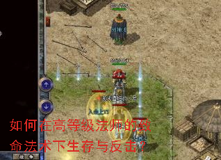 ����ڸߵȼ���ʦ�����������������뷴����