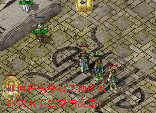 ����ڸߵȼ���ʦ�����������������뷴����