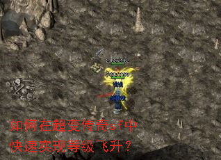 ����ڳ��䴫��sf�п���ʵ�ֵȼ�������