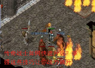 ����սʿ��ο���������������Щ��������ս�����