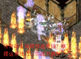 ����սʿ��ο���������������Щ��������ս�����