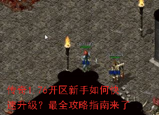 ����1.76����������ο�����������ȫ����ָ������