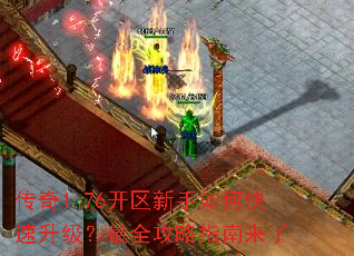 ����1.76����������ο�����������ȫ����ָ������