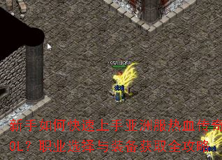 ������ο����������޷���Ѫ����OL��ְҵѡ����װ����ȡȫ����