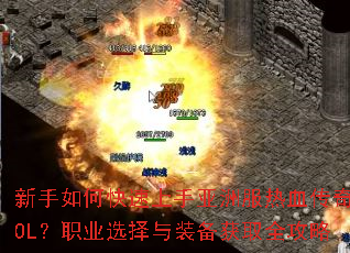 ������ο����������޷���Ѫ����OL��ְҵѡ����װ����ȡȫ����