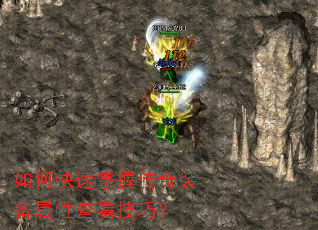 ��ο������մ���װ�����Բ鿴���ɣ�