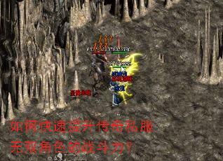 ��ο�����������˽����˫��ɫ��ս������