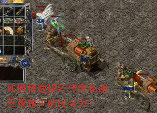 ��ο�����������˽����˫��ɫ��ս������