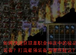 ��ο��ٻ�ȡ��ְҵ��;�еļ�Ʒװ����������ǿװ������Щ�ؾ���