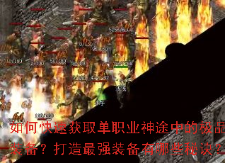 ��ο��ٻ�ȡ��ְҵ��;�еļ�Ʒװ����������ǿװ������Щ�ؾ���