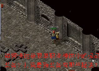 ��ο��ٻ�ȡ��ְҵ��;�еļ�Ʒװ����������ǿװ������Щ�ؾ���