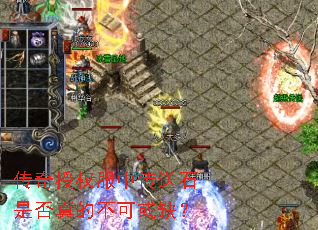 ������Ȩ���д���ʯ�Ƿ���Ĳ��ɻ�ȱ��