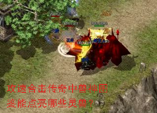 ���ٺϻ�����������ͼ���ܵ�����Щ���ޣ�