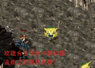 ���ٺϻ�����������ͼ���ܵ�����Щ���ޣ�