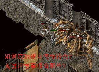 ��γɹ����������л᣿�ؼ�ע����������Щ��