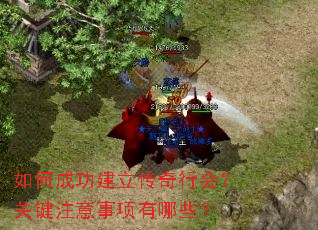 ��γɹ����������л᣿�ؼ�ע����������Щ��