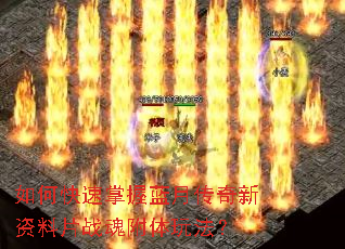 ��ο����������´���������Ƭս�긽���淨��