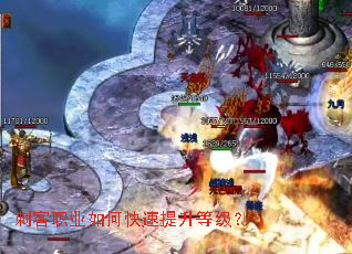 �̿�ְҵ��ο��������ȼ���