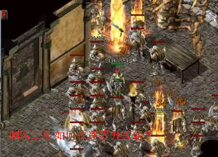 �̿�ְҵ��ο��������ȼ���