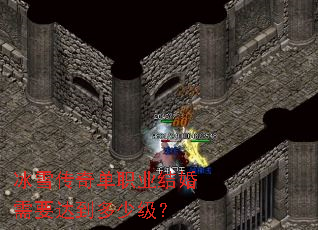 ��ѩ���浥ְҵ�����Ҫ�ﵽ���ټ���