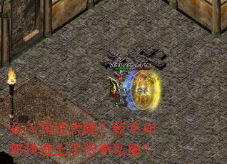 �����귩��½��������ο������ִ���˽����