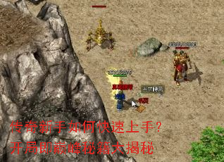 ����������ο������֣����ּ��۷��ؼ������