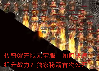 ����GM����Ԫ��������ο�������ս���������ؼ��״ι���