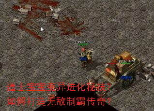 ��ʿ������������ؼ�����δ����޵��ưԴ��棿