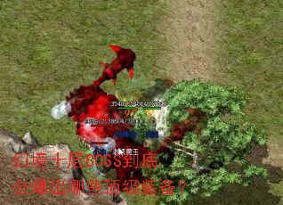�þ�ʮ��BOSS���׻ᱬ����Щ����װ����
