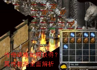 ���������λ�ã���������ȫ�����