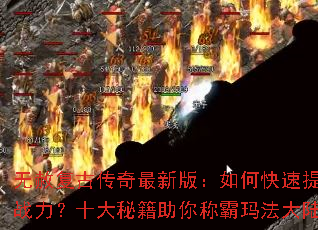 ���⸴�Ŵ������°棺��ο�������ս����ʮ���ؼ�����ư��귨��½