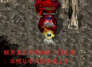 ���ڸ��Ŵ����������űؿ�����δ��㿪ʼ�������֣�