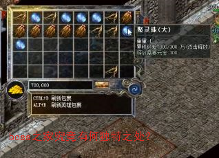 boss֮�Ҿ����кζ���֮����
