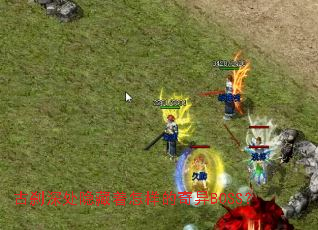 ��ɲ�����������������BOSS��