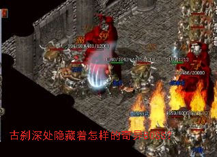 ��ɲ�����������������BOSS��