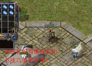 ����˽������Щʵ��С����ֵ�÷�����