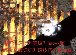 ��ο��������ȼ���haoyx�ུ��泬��ϸ���������ĵ÷���