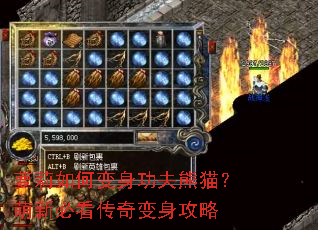萝莉如何变身功夫熊猫?萌新必看传奇变身攻略 萝莉如何变身功夫熊猫?萌新必看传奇变身攻略