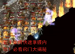 ������ο��������ڹ����ؿ����Ŵ����