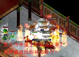 ���Ŵ���è��ˢ�µ����ģ���ο����ҵ�����������