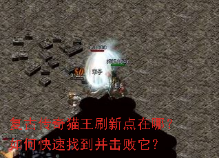 ���Ŵ���è��ˢ�µ����ģ���ο����ҵ�����������