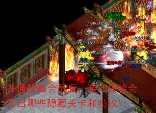 ��ͨ������Ա����Ϸ����Ὺ����Щ���عؿ�����Ȩ��