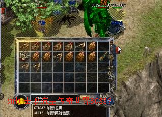 ��λ������Ǵ�������BOSS��