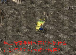 ��Ѫ���������˺�������ʲô������������Լ����˺���
