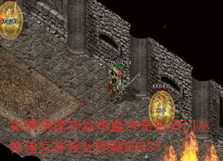 ��ο��ٴ�Խ��Ѫ��������Ŵ����Թ����ҵ�����BOSS��