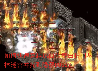 ��ο��ٴ�Խ��Ѫ��������Ŵ����Թ����ҵ�����BOSS��